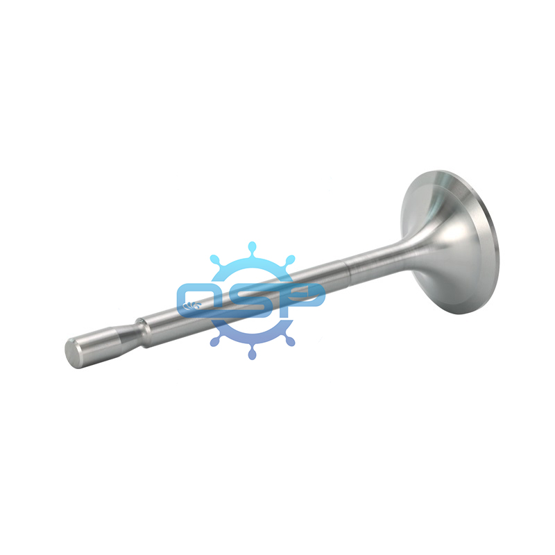 intake valve